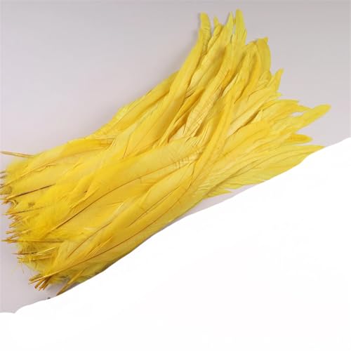 Dvbfufv Federn, 35–40 cm, zum Basteln, Karnevals-Zubehör, Federdekoration, Kopfschmuck, 50 Stück Dvbfufv Federn, 35–40 cm, zum Basteln, Karnevals-Zubehör, Federdekoration, Kopfschmuck, 50 Stück von Dvbfufv
