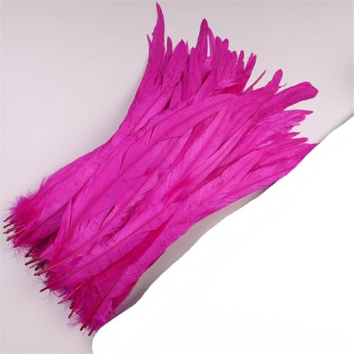 Dvbfufv Federn, 35–40 cm, zum Basteln, Karnevals-Zubehör, Federdekoration, Kopfschmuck, 50 Stück von Dvbfufv