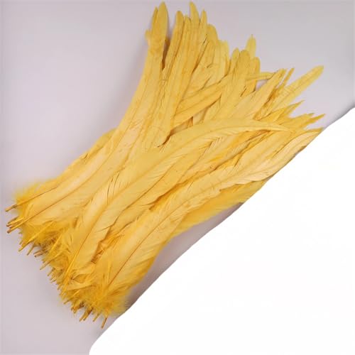 Dvbfufv Federn, 35–40 cm, zum Basteln, Karnevals-Zubehör, Federdekoration, Kopfschmuck, 50 Stück Dvbfufv Federn, 35–40 cm, zum Basteln, Karnevals-Zubehör, Federdekoration, Kopfschmuck, 50 Stück von Dvbfufv