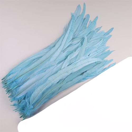 Dvbfufv Federn, 35–40 cm, zum Basteln, Karnevals-Zubehör, Federdekoration, Kopfschmuck, 50 Stück von Dvbfufv
