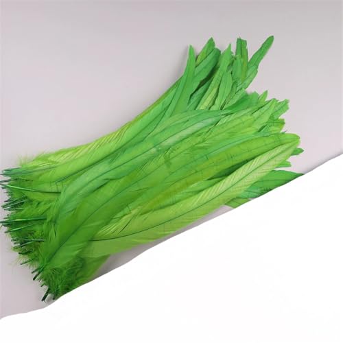 Dvbfufv Federn, 35–40 cm, zum Basteln, Karnevals-Zubehör, Federdekoration, Kopfschmuck, 50 Stück von Dvbfufv
