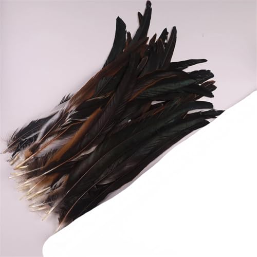 Dvbfufv Federn, 35–40 cm, zum Basteln, Karnevals-Zubehör, Federdekoration, Kopfschmuck, 50 Stück Dvbfufv Federn, 35–40 cm, zum Basteln, Karnevals-Zubehör, Federdekoration, Kopfschmuck, 50 Stück von Dvbfufv