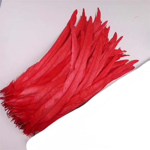 Dvbfufv Federn, 35–40 cm, zum Basteln, Karnevals-Zubehör, Federdekoration, Kopfschmuck, 50 Stück Dvbfufv Federn, 35–40 cm, zum Basteln, Karnevals-Zubehör, Federdekoration, Kopfschmuck, 50 Stück von Dvbfufv