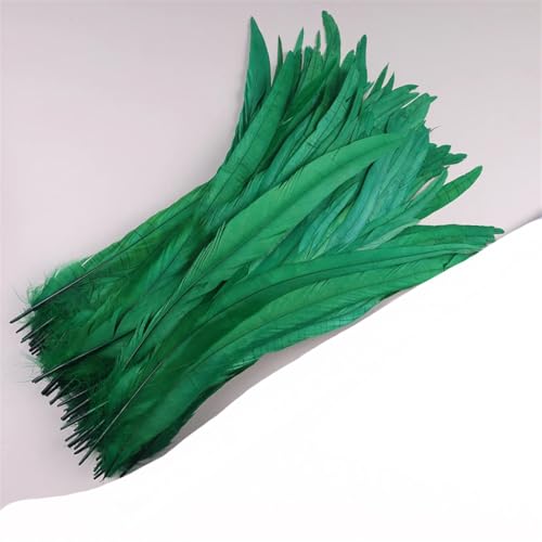 Dvbfufv Federn, 35–40 cm, zum Basteln, Karnevals-Zubehör, Federdekoration, Kopfschmuck, 50 Stück Dvbfufv Federn, 35–40 cm, zum Basteln, Karnevals-Zubehör, Federdekoration, Kopfschmuck, 50 Stück von Dvbfufv