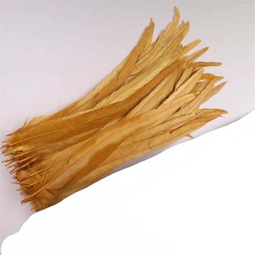 Dvbfufv Federn, 35–40 cm, zum Basteln, Karnevals-Zubehör, Federdekoration, Kopfschmuck, 50 Stück von Dvbfufv