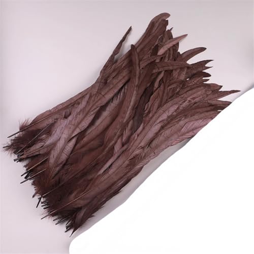 Dvbfufv Federn, 35–40 cm, zum Basteln, Karnevals-Zubehör, Federdekoration, Kopfschmuck, 50 Stück von Dvbfufv