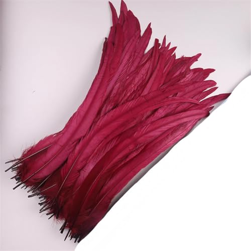 Dvbfufv Federn, 35–40 cm, zum Basteln, Karnevals-Zubehör, Federdekoration, Kopfschmuck, 50 Stück von Dvbfufv