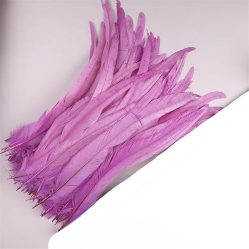 Dvbfufv Federn, 35–40 cm, zum Basteln, Karnevals-Zubehör, Federdekoration, Kopfschmuck, 50 Stück von Dvbfufv