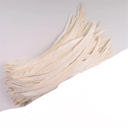 Dvbfufv Federn, 35–40 cm, zum Basteln, Karnevals-Zubehör, Federdekoration, Kopfschmuck, 50 Stück Dvbfufv Federn, 35–40 cm, zum Basteln, Karnevals-Zubehör, Federdekoration, Kopfschmuck, 50 Stück von Dvbfufv
