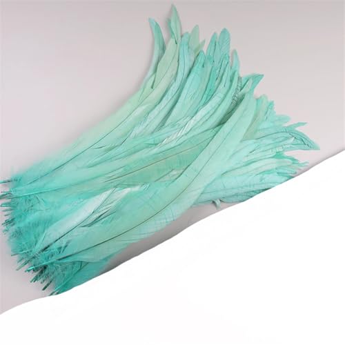 Dvbfufv Federn, 35–40 cm, zum Basteln, Karnevals-Zubehör, Federdekoration, Kopfschmuck, 50 Stück von Dvbfufv