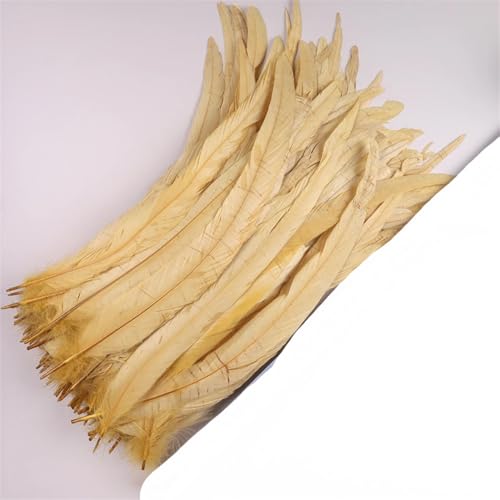 Dvbfufv Federn, 35–40 cm, zum Basteln, Karnevals-Zubehör, Federdekoration, Kopfschmuck, 50 Stück Dvbfufv Federn, 35–40 cm, zum Basteln, Karnevals-Zubehör, Federdekoration, Kopfschmuck, 50 Stück von Dvbfufv