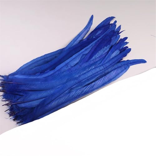 Dvbfufv Federn, 35–40 cm, zum Basteln, Karnevals-Zubehör, Federdekoration, Kopfschmuck, 50 Stück von Dvbfufv