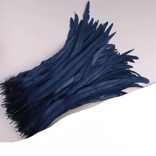 Dvbfufv Federn, 35–40 cm, zum Basteln, Karnevals-Zubehör, Federdekoration, Kopfschmuck, 50 Stück von Dvbfufv