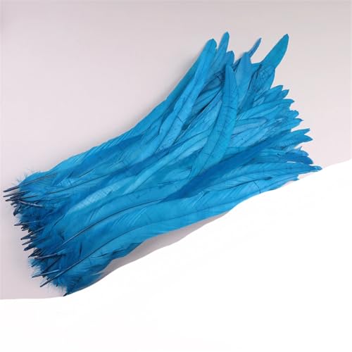 Dvbfufv Federn, 35–40 cm, zum Basteln, Karnevals-Zubehör, Federdekoration, Kopfschmuck, 50 Stück von Dvbfufv