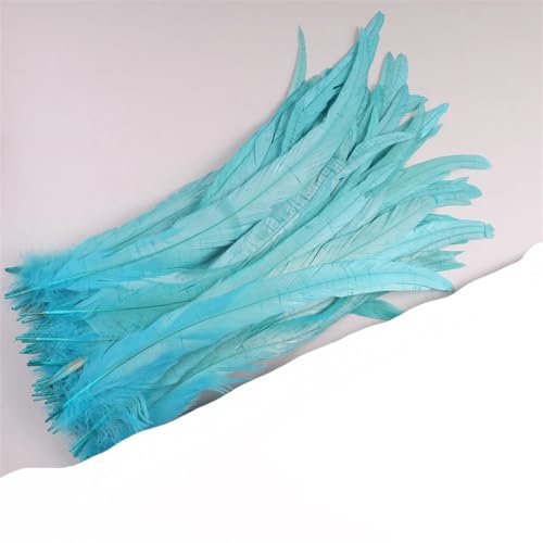 Dvbfufv Federn, 35–40 cm, zum Basteln, Karnevals-Zubehör, Federdekoration, Kopfschmuck, 50 Stück von Dvbfufv