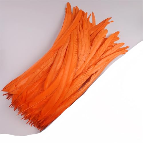 Dvbfufv Federn, 35–40 cm, zum Basteln, Karnevals-Zubehör, Federdekoration, Kopfschmuck, 50 Stück Dvbfufv Federn, 35–40 cm, zum Basteln, Karnevals-Zubehör, Federdekoration, Kopfschmuck, 50 Stück von Dvbfufv