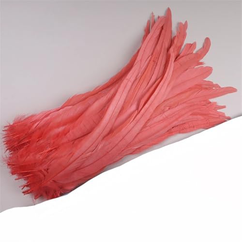 Dvbfufv Federn, 35–40 cm, zum Basteln, Karnevals-Zubehör, Federdekoration, Kopfschmuck, 50 Stück von Dvbfufv