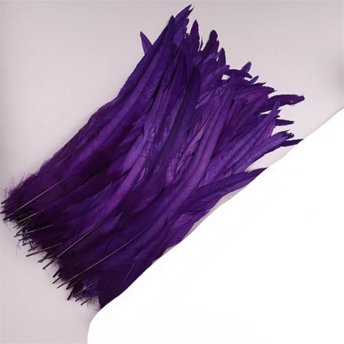 Dvbfufv Federn, 35–40 cm, zum Basteln, Karnevals-Zubehör, Federdekoration, Kopfschmuck, 50 Stück von Dvbfufv