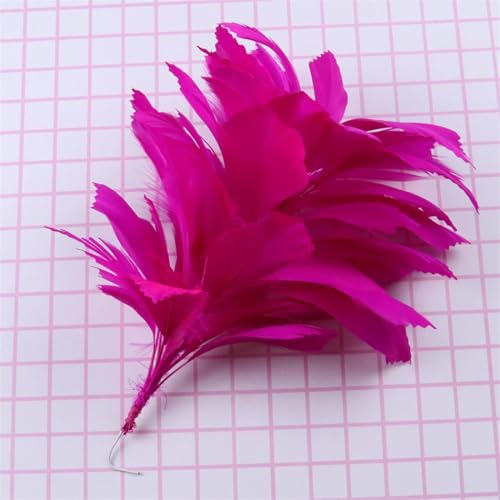 Dvbfufv Federn Blumen für Party Karneval Kleidung Corsagen Stirnbänder Handarbeit Blumen Dekoration Zubehör 25,4-30,5 cm von Dvbfufv