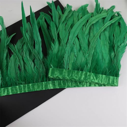 Federbordüre, 10 m, 25–30 cm, Federborte für Handarbeit, Handwerk, Karneval, Kleid, Rock, Kostüme Federbordüre, 10 m, 25–30 cm, Federborte für Handarbeit, Handwerk, Karneval, Kleid, Rock, Kostüme von Dvbfufv