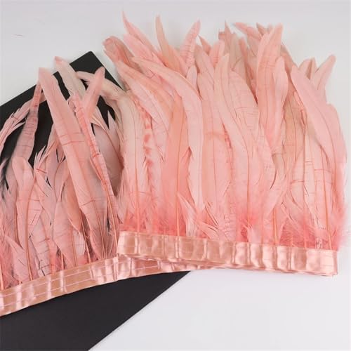 Federbordüre, 10 m, 25–30 cm, Federborte für Handarbeit, Handwerk, Karneval, Kleid, Rock, Kostüme Federbordüre, 10 m, 25–30 cm, Federborte für Handarbeit, Handwerk, Karneval, Kleid, Rock, Kostüme von Dvbfufv