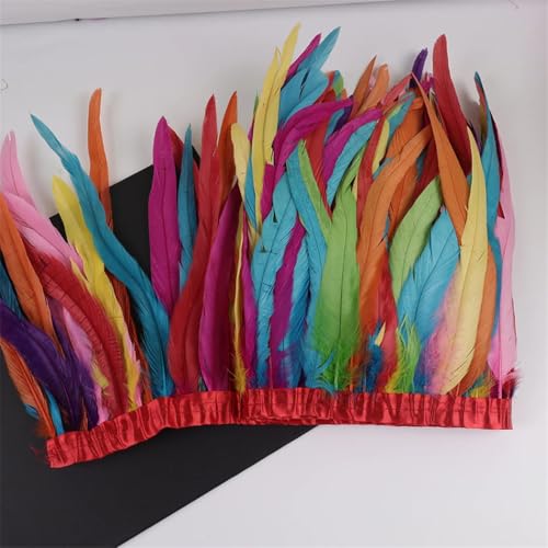 Federbordüre, 10 m, 25–30 cm, Federborte für Handarbeit, Handwerk, Karneval, Kleid, Rock, Kostüme Federbordüre, 10 m, 25–30 cm, Federborte für Handarbeit, Handwerk, Karneval, Kleid, Rock, Kostüme von Dvbfufv