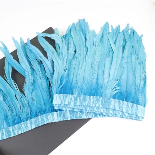 Federbordüre, 10 m, 25–30 cm, Federborte für Handarbeit, Handwerk, Karneval, Kleid, Rock, Kostüme Federbordüre, 10 m, 25–30 cm, Federborte für Handarbeit, Handwerk, Karneval, Kleid, Rock, Kostüme von Dvbfufv