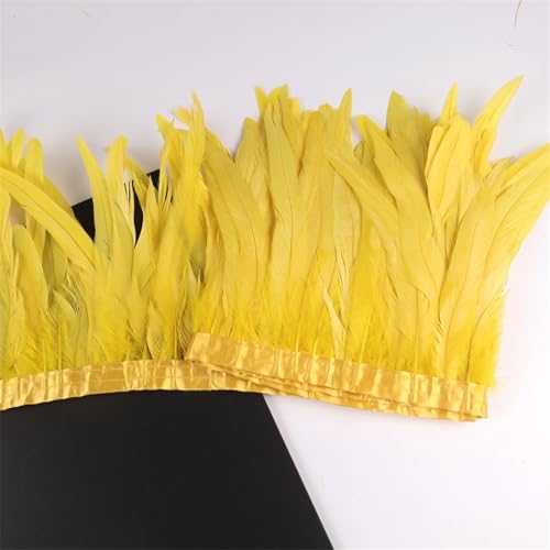 Federbordüre, 10 m, 25–30 cm, Federborte für Handarbeit, Handwerk, Karneval, Kleid, Rock, Kostüme Federbordüre, 10 m, 25–30 cm, Federborte für Handarbeit, Handwerk, Karneval, Kleid, Rock, Kostüme von Dvbfufv