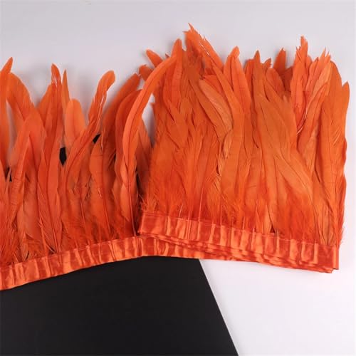Federbordüre, 10 m, 25–30 cm, Federborte für Handarbeit, Handwerk, Karneval, Kleid, Rock, Kostüme Federbordüre, 10 m, 25–30 cm, Federborte für Handarbeit, Handwerk, Karneval, Kleid, Rock, Kostüme von Dvbfufv