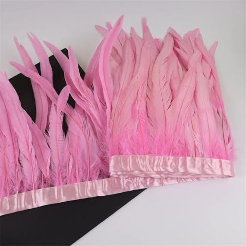 Federbordüre, 10 m, 25–30 cm, Federborte für Handarbeit, Handwerk, Karneval, Kleid, Rock, Kostüme Federbordüre, 10 m, 25–30 cm, Federborte für Handarbeit, Handwerk, Karneval, Kleid, Rock, Kostüme von Dvbfufv