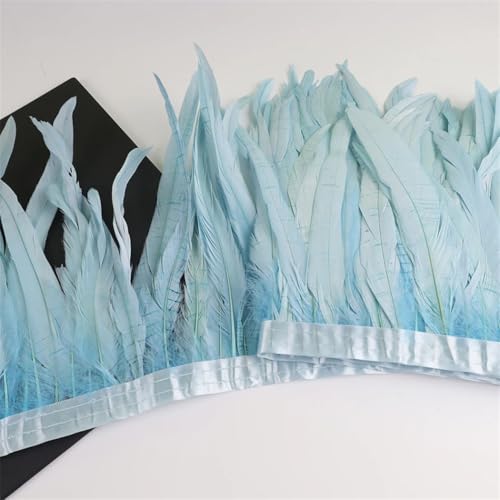 Federbordüre, 10 m, 25–30 cm, Federborte für Handarbeit, Handwerk, Karneval, Kleid, Rock, Kostüme Federbordüre, 10 m, 25–30 cm, Federborte für Handarbeit, Handwerk, Karneval, Kleid, Rock, Kostüme von Dvbfufv