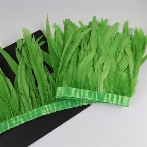 Federbordüre, 10 m, 25–30 cm, Federborte für Handarbeit, Handwerk, Karneval, Kleid, Rock, Kostüme Federbordüre, 10 m, 25–30 cm, Federborte für Handarbeit, Handwerk, Karneval, Kleid, Rock, Kostüme von Dvbfufv