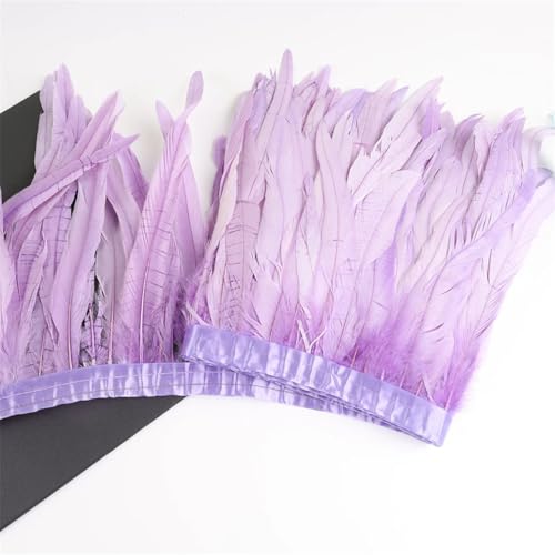 Federbordüre, 10 m, 25–30 cm, Federborte für Handarbeit, Handwerk, Karneval, Kleid, Rock, Kostüme Federbordüre, 10 m, 25–30 cm, Federborte für Handarbeit, Handwerk, Karneval, Kleid, Rock, Kostüme von Dvbfufv