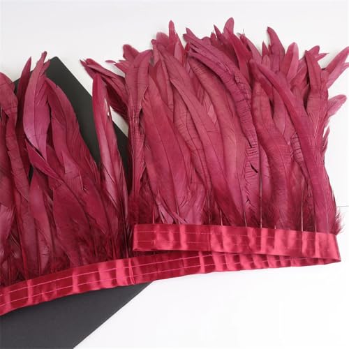 Federbordüre, 10 m, 25–30 cm, Federborte für Handarbeit, Handwerk, Karneval, Kleid, Rock, Kostüme Federbordüre, 10 m, 25–30 cm, Federborte für Handarbeit, Handwerk, Karneval, Kleid, Rock, Kostüme von Dvbfufv