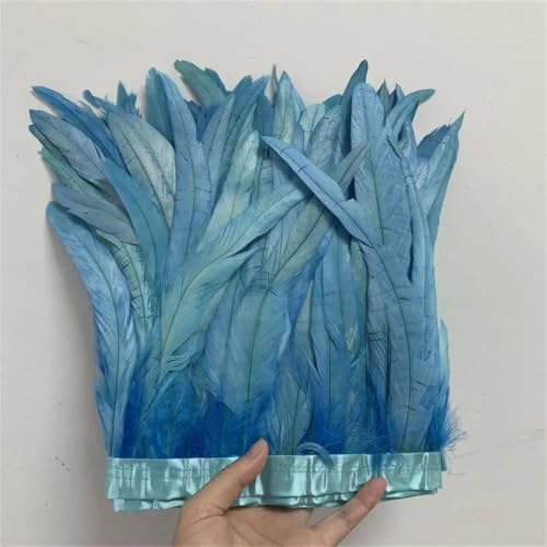 Federbordüre, 25–30 cm, 10 m, Kleid, DIY-Dekoration, Zubehör für Bastelarbeiten, Band, Feder Federbordüre, 25–30 cm, 10 m, Kleid, DIY-Dekoration, Zubehör für Bastelarbeiten, Band, Feder von Dvbfufv