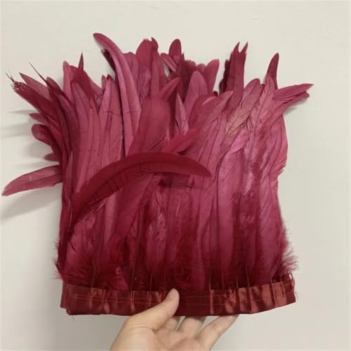 Federbordüre, 25–30 cm, 10 m, Kleid, DIY-Dekoration, Zubehör für Bastelarbeiten, Band, Feder von Dvbfufv