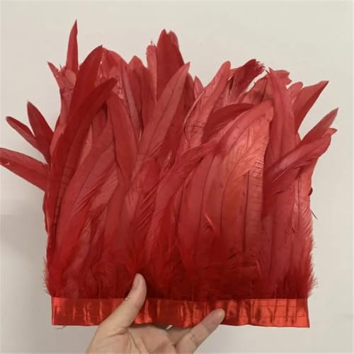 Federbordüre, 25–30 cm, 10 m, für Kleider, DIY-Dekoration für Bastelarbeiten, Feder-Zubehör Federbordüre, 25–30 cm, 10 m, für Kleider, DIY-Dekoration für Bastelarbeiten, Feder-Zubehör von Dvbfufv