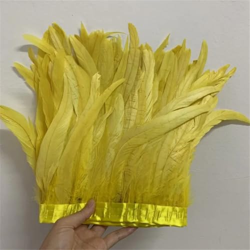 Federbordüre, 25–30 cm, 10 m, für Kleider, DIY-Dekoration für Bastelarbeiten, Feder-Zubehör von Dvbfufv