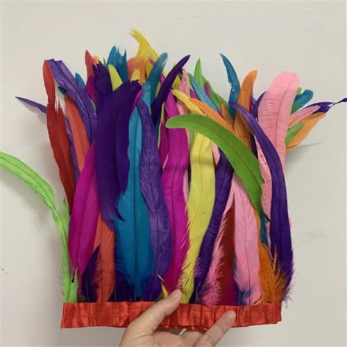 Federbordüre, 25–30 cm, 10 m, für Kleider, DIY-Dekoration für Bastelarbeiten, Feder-Zubehör Federbordüre, 25–30 cm, 10 m, für Kleider, DIY-Dekoration für Bastelarbeiten, Feder-Zubehör von Dvbfufv
