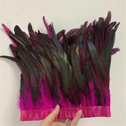Federbordüre, 25–30 cm, 10 m, für Kleider, DIY-Dekoration für Bastelarbeiten, Feder-Zubehör Federbordüre, 25–30 cm, 10 m, für Kleider, DIY-Dekoration für Bastelarbeiten, Feder-Zubehör von Dvbfufv