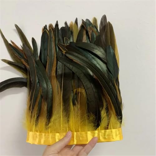 Federbordüre, 25–30 cm, 10 m, für Kleider, DIY-Dekoration für Bastelarbeiten, Feder-Zubehör Federbordüre, 25–30 cm, 10 m, für Kleider, DIY-Dekoration für Bastelarbeiten, Feder-Zubehör von Dvbfufv