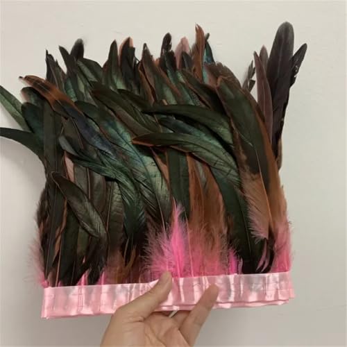 Federbordüre, 25–30 cm, 10 m, für Kleider, DIY-Dekoration für Bastelarbeiten, Feder-Zubehör von Dvbfufv