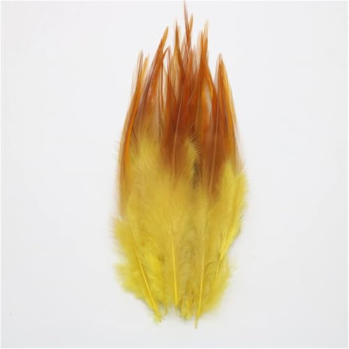 Federn, 10-15 cm, zum Basteln, für Kleider, Nähen, Basteln, Kostüme, Dekoration, 100 Stück Federn, 10-15 cm, zum Basteln, für Kleider, Nähen, Basteln, Kostüme, Dekoration, 100 Stück von Dvbfufv