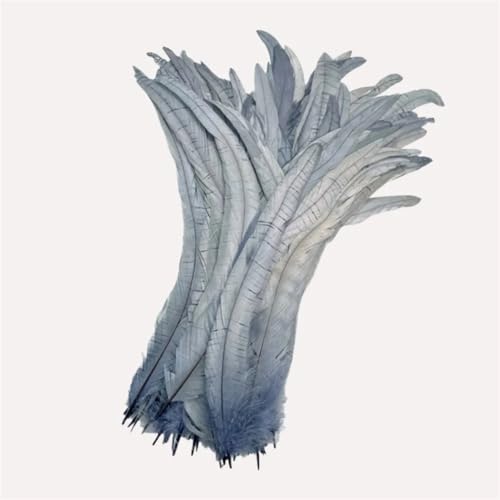 Federn, Basteln, Nähen, Kleidung, Dekoration, Federn, Zuhause, Party, Damen, Kopfbedeckung, Hochzeitszubehör, 25–45 cm, 100 Stück Federn, Basteln, Nähen, Kleidung, Dekoration, Federn, Zuhause, Party, Damen, Kopfbedeckung, Hochzeitszubehör, 25–45 cm, 100 Stück von Dvbfufv