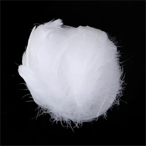 Federn zum Basteln, 4–8 cm, 6–12 cm, Federn, Hochzeit, Party, Handwerk, Zubehör, Dekoration, 100 Stück Federn zum Basteln, 4–8 cm, 6–12 cm, Federn, Hochzeit, Party, Handwerk, Zubehör, Dekoration, 100 Stück von Dvbfufv