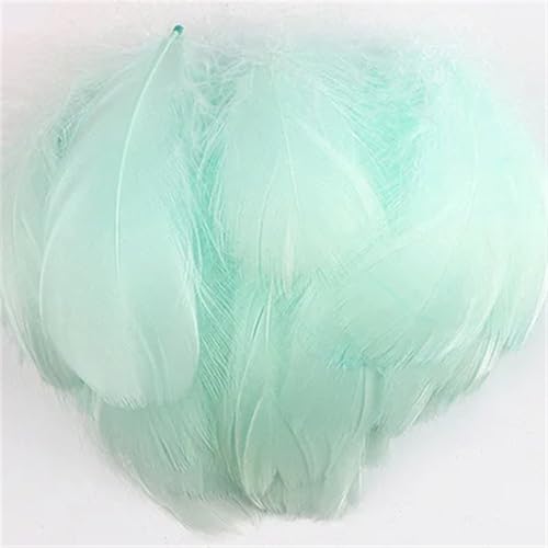 Federn zum Basteln, 4–8 cm, 6–12 cm, Federn, Hochzeit, Party, Handwerk, Zubehör, Dekoration, 100 Stück Federn zum Basteln, 4–8 cm, 6–12 cm, Federn, Hochzeit, Party, Handwerk, Zubehör, Dekoration, 100 Stück von Dvbfufv