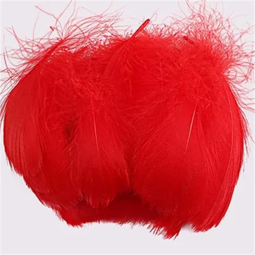 Federn zum Basteln, 4–8 cm, 6–12 cm, Federn, Hochzeit, Party, Handwerk, Zubehör, Dekoration, 100 Stück Federn zum Basteln, 4–8 cm, 6–12 cm, Federn, Hochzeit, Party, Handwerk, Zubehör, Dekoration, 100 Stück von Dvbfufv