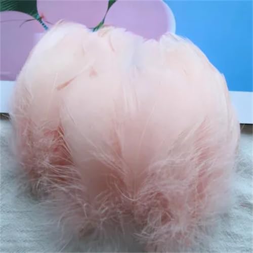 Federn zum Basteln, 4–8 cm, 6–12 cm, Federn, Hochzeit, Party, Handwerk, Zubehör, Dekoration, 100 Stück Federn zum Basteln, 4–8 cm, 6–12 cm, Federn, Hochzeit, Party, Handwerk, Zubehör, Dekoration, 100 Stück von Dvbfufv
