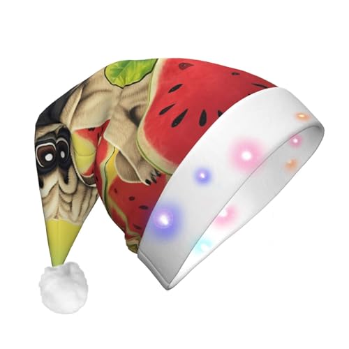 Dwrepo Lustiger Hund Wassermelone Weihnachtsmütze mit LED-Lichtern Erwachsene Weihnachtsmütze Plüsch Weihnachtsmütze für Frauen Männer Party Supplies von Dwrepo