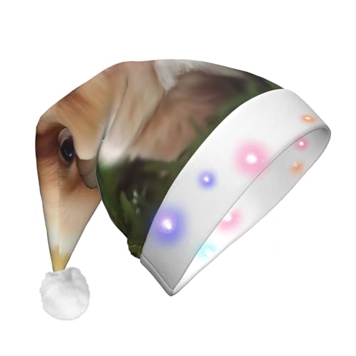 Dwrepo Niedliche Weihnachtsmütze für Hunde mit LED-Lichtern, für Erwachsene, Plüsch, Weihnachtsmütze für Damen und Herren, Partyzubehör von Dwrepo